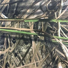 Polyestertryck Camo Twill andningsbart tyg